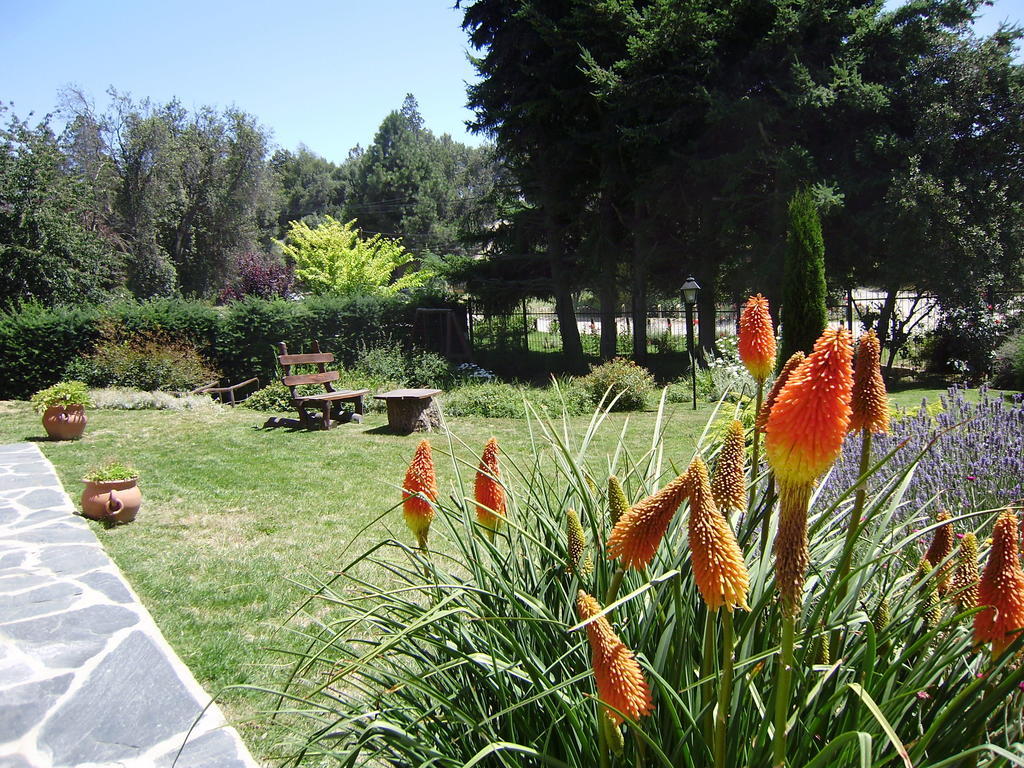Apartment San Ignacio *